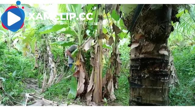 Ngoại tình với em hàng xóm ngoài bụi chuối
