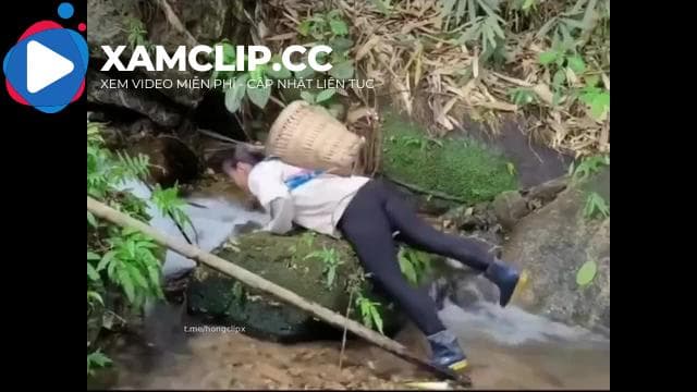 Pu đi rừng nhặt măng thì bị một cây măng chọc giữa háng