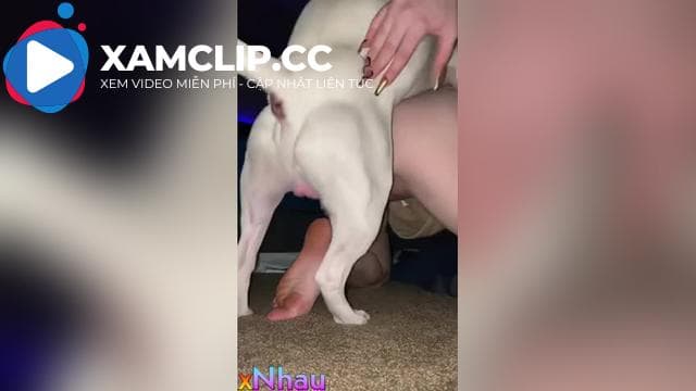 Em gái bệnh hoạn, cho chó địt vào lồn mình cực dâm