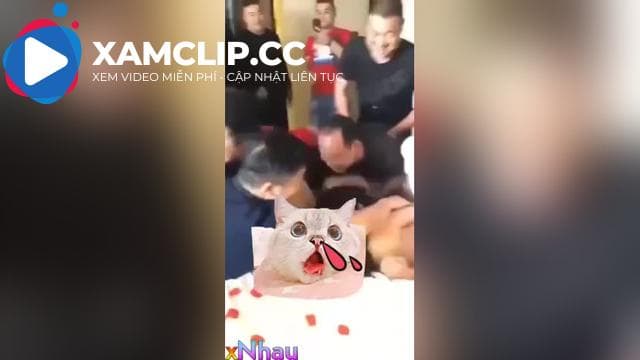 Đám cưới china, Cưới xong cho họ hàng địt tập thể Đang hot