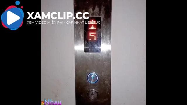 Thủ dâm trong thang máy nước bắn thì người lạ vào