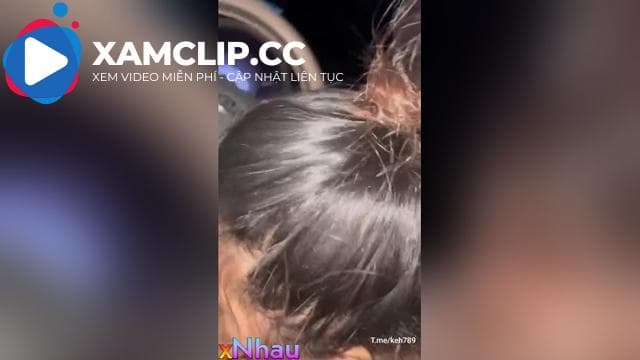 Public:Sơn dính hết lên chim