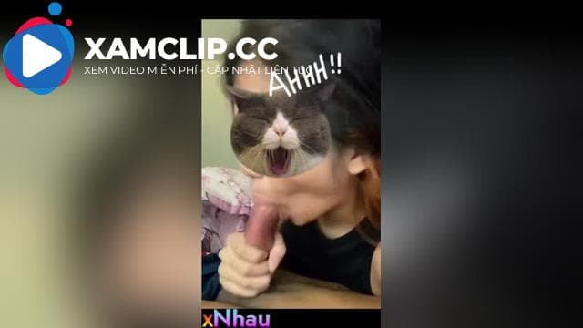 Con bạn thân bú cu điêu luyện như này bảo sao nhiều nyc :)