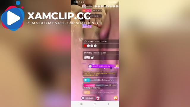 Suchibi QQLive 15/01/2024