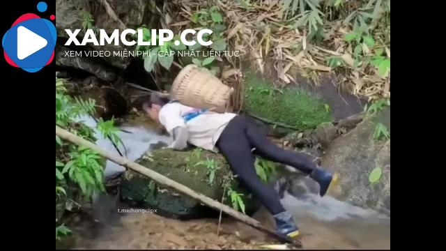 Pu đi rừng nhặt măng thì bị một cây măng chọc giữa háng
