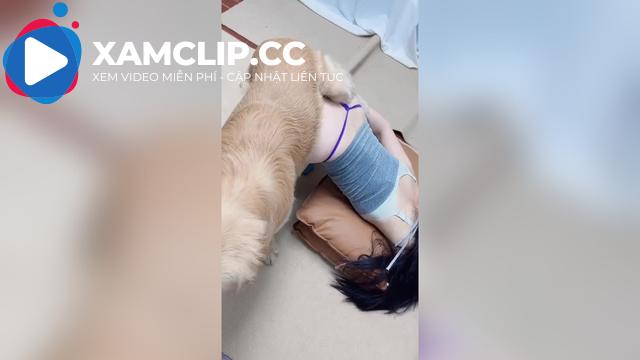 Chồng đi vắng, cô chủ cho Pet làm nô lệ tình dục