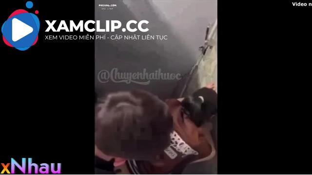 Mấy đứa học sinh giờ cứ rảnh đâu là tụt quần phang nhau ở đó
