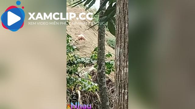 Đôi nam nữ lên núi nghỉ lễ rồi hoà mình vào thiên nhiên ngay trên đống cát
