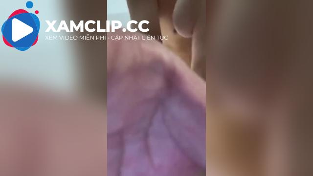 Cho em mèo béo vú tròn trải nghiệm cảm giác thằn lằn bám kính
